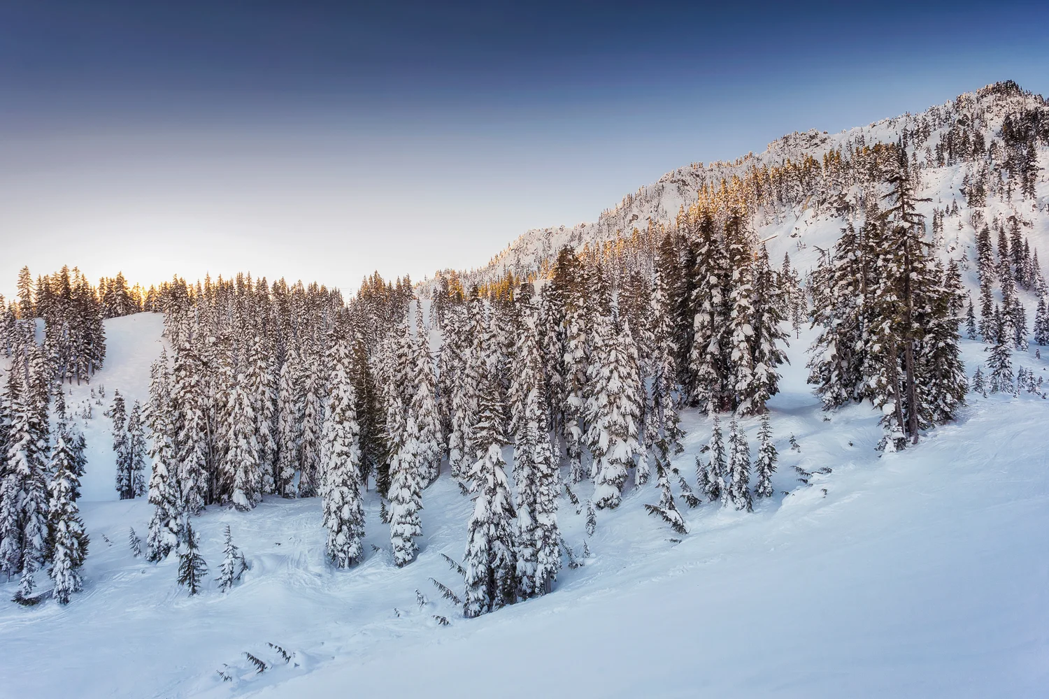 2017 is a new beginning 1