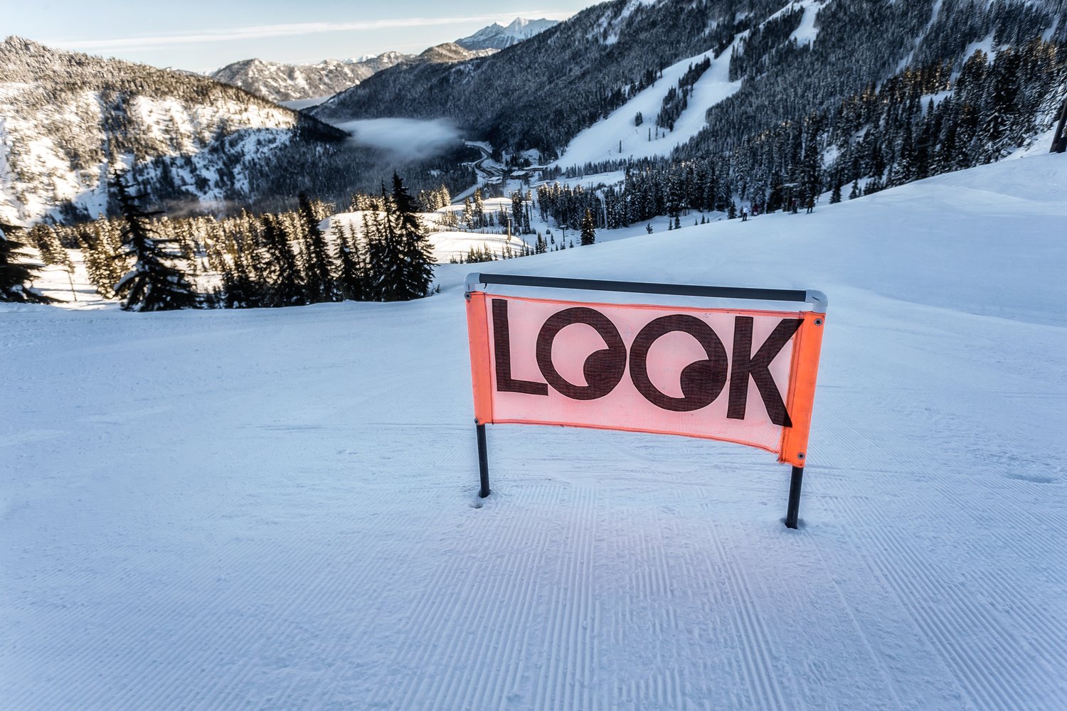 2017 is a new beginning