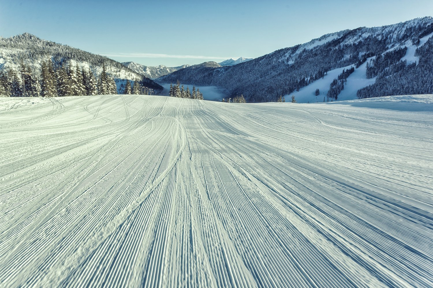 2017 is a new beginning 5