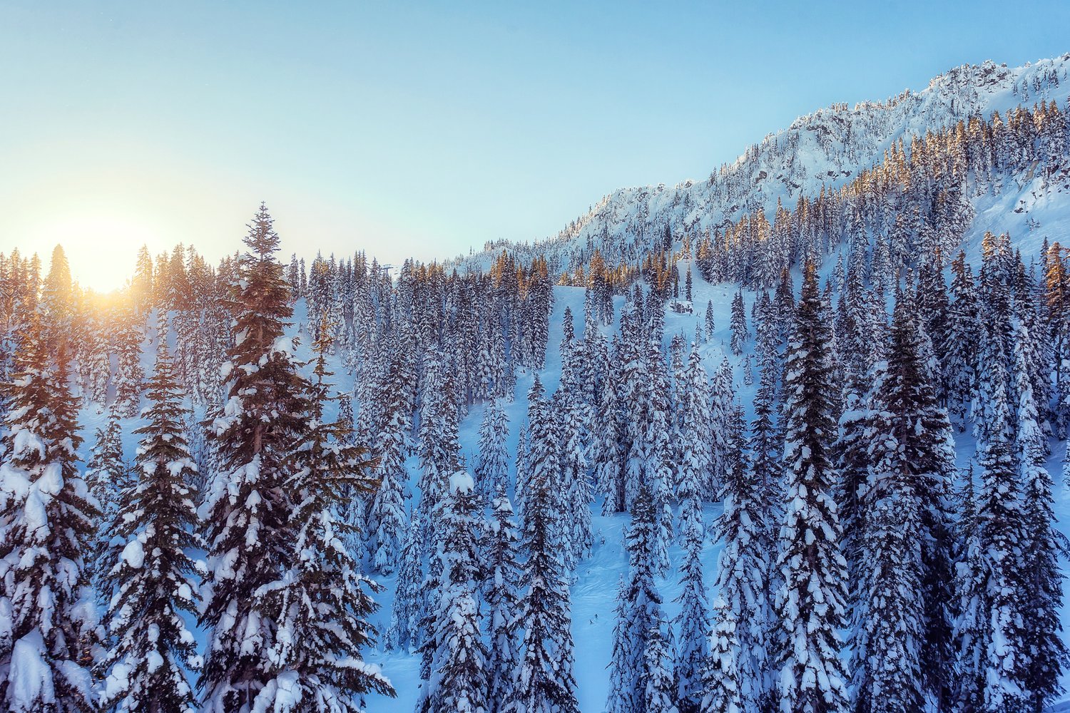 2017 is a new beginning 7