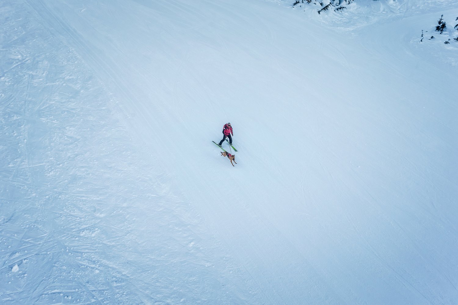 2017 is a new beginning 8