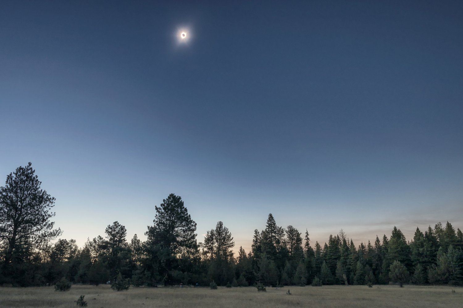 The Great American Eclipse 1