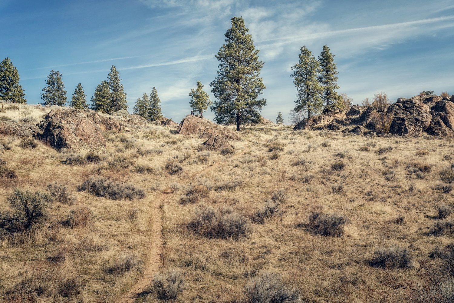 Camping in the Rain 5