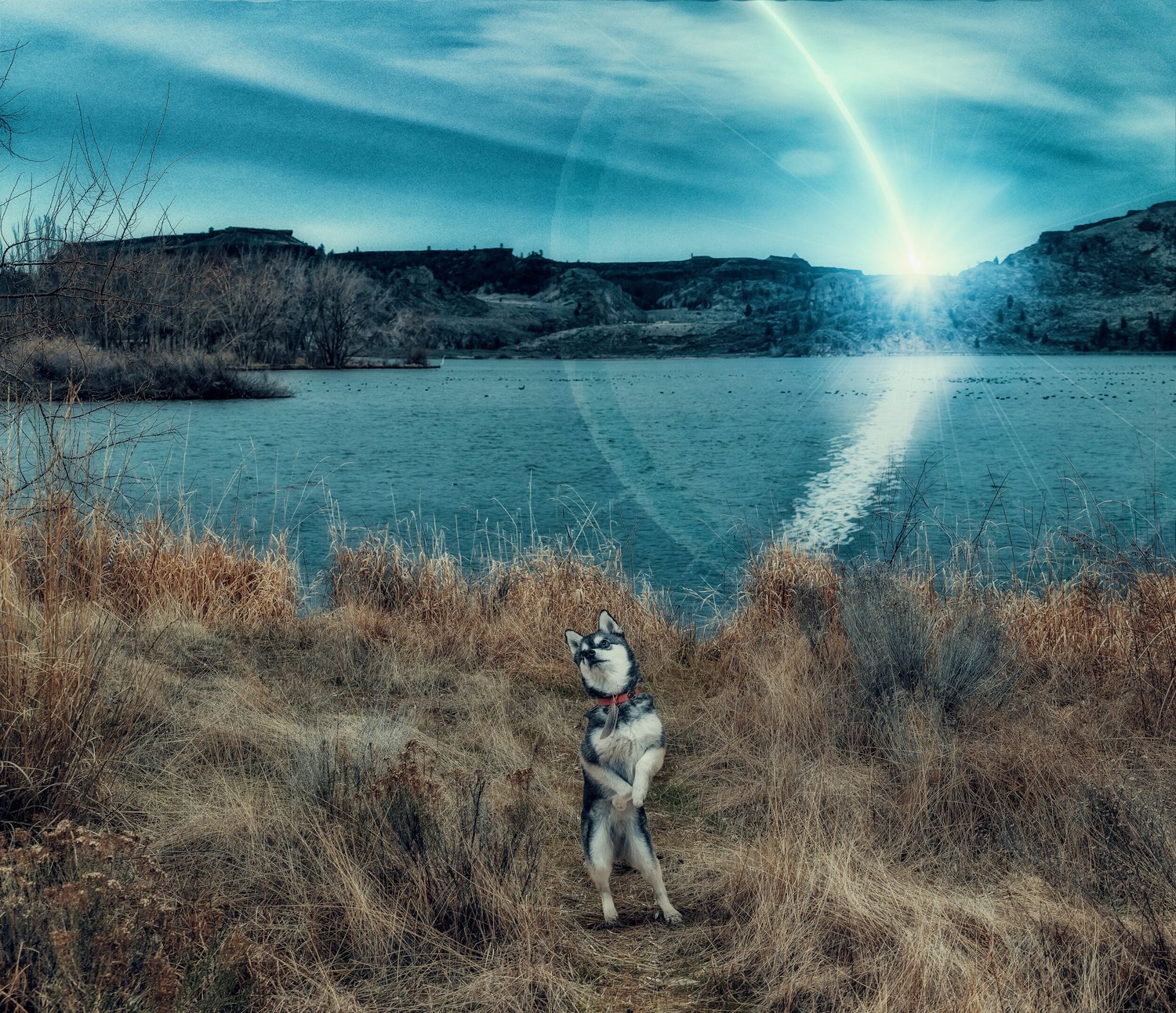 Wild Child Project 8