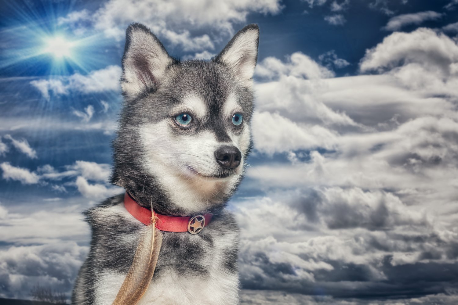 Wild Child Project 7