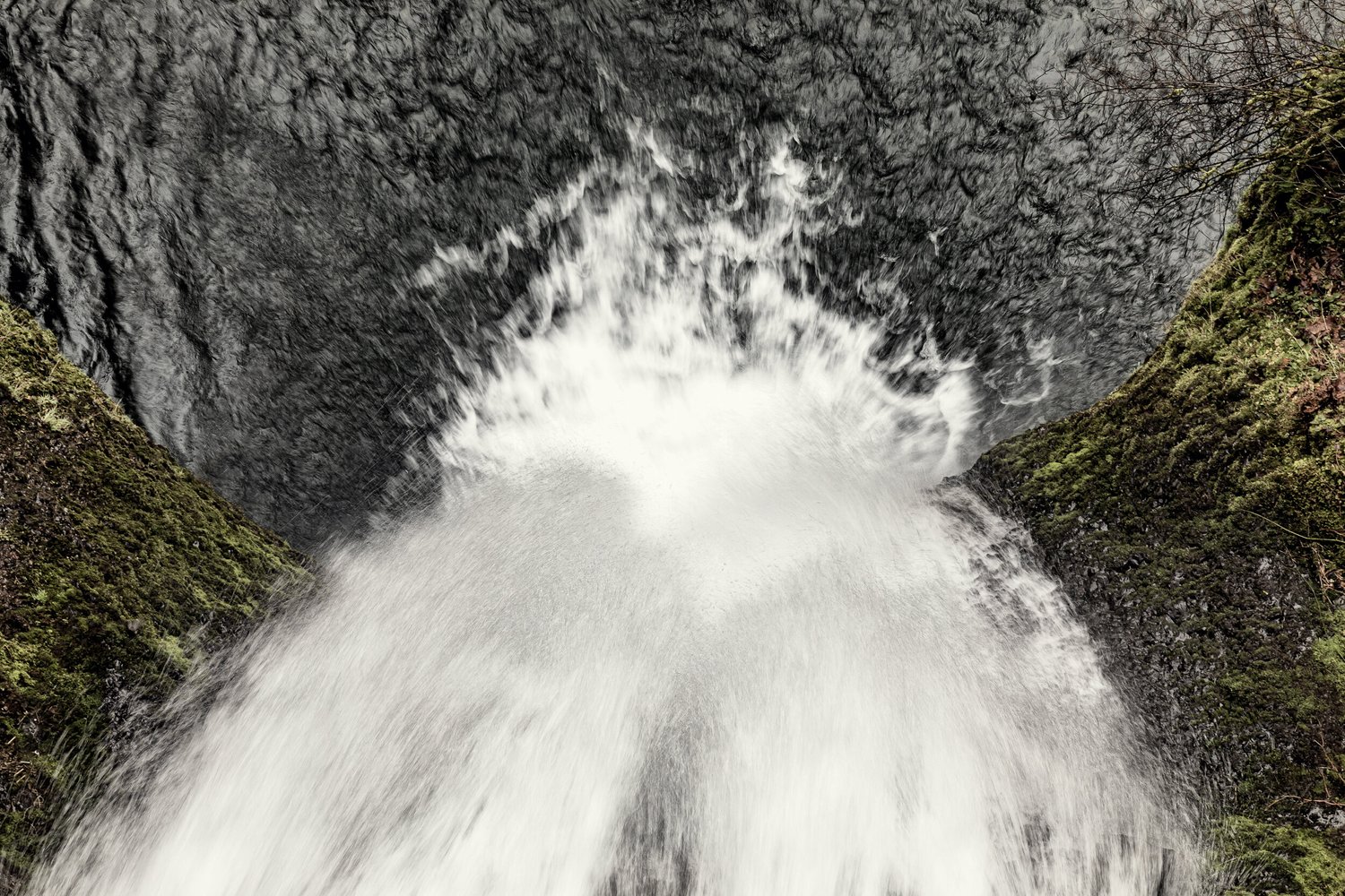 South in the Winter 1