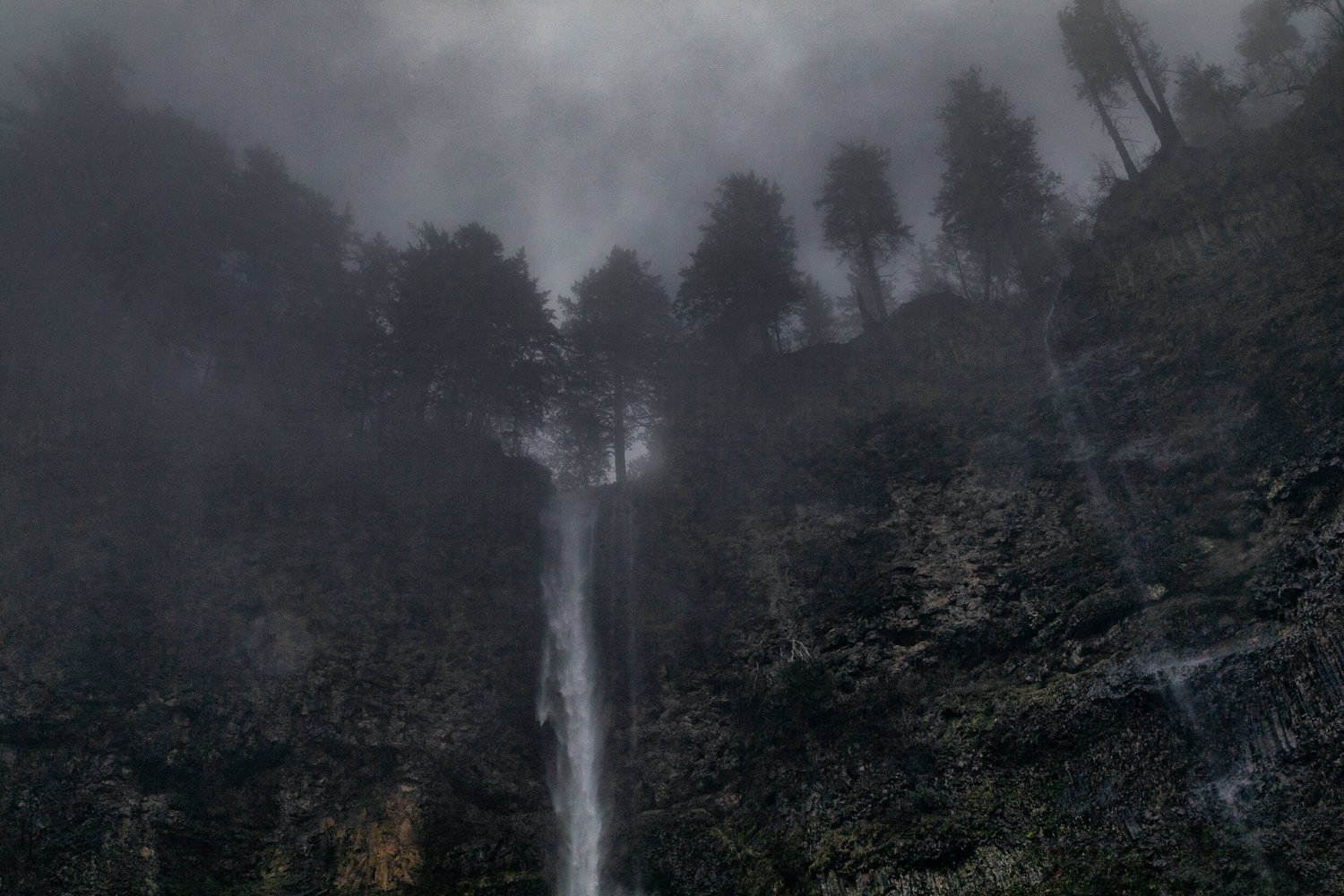 South in the Winter 4