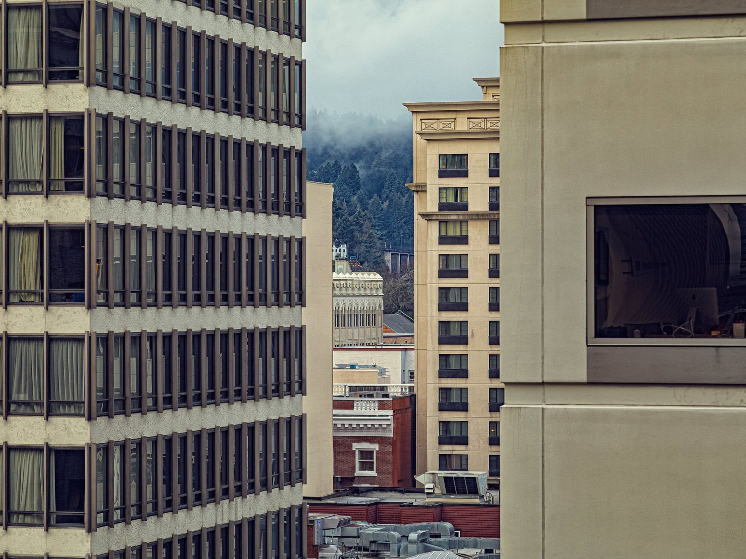 South in the Winter 3