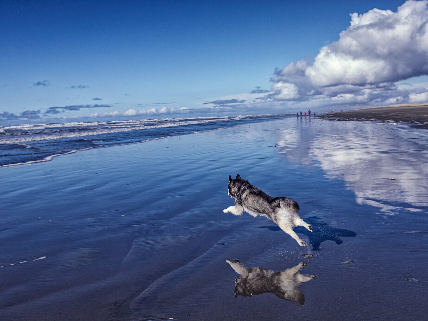 South in the Winter 5