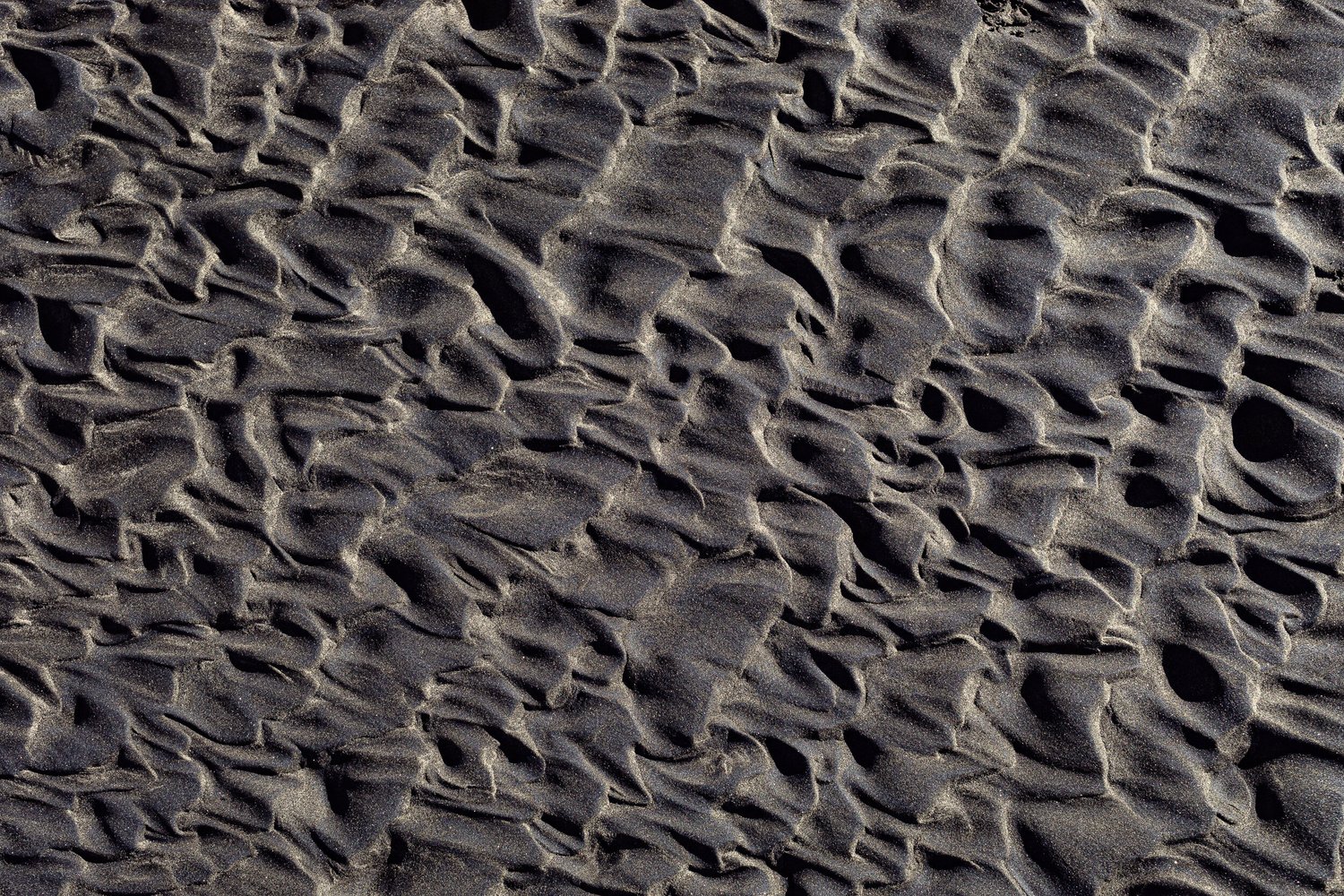 South in the Winter 6