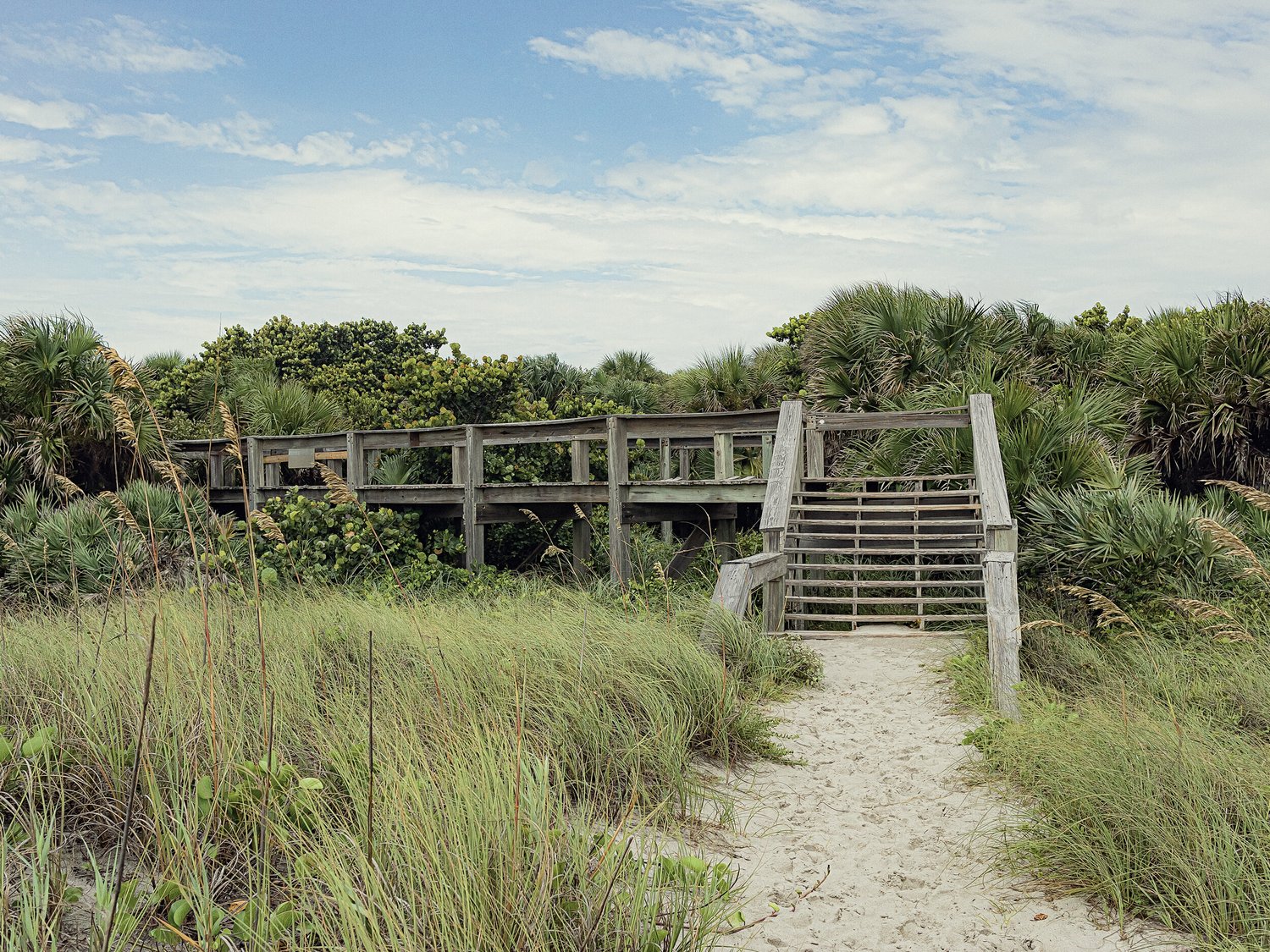 Summer Nineteen Part II 3