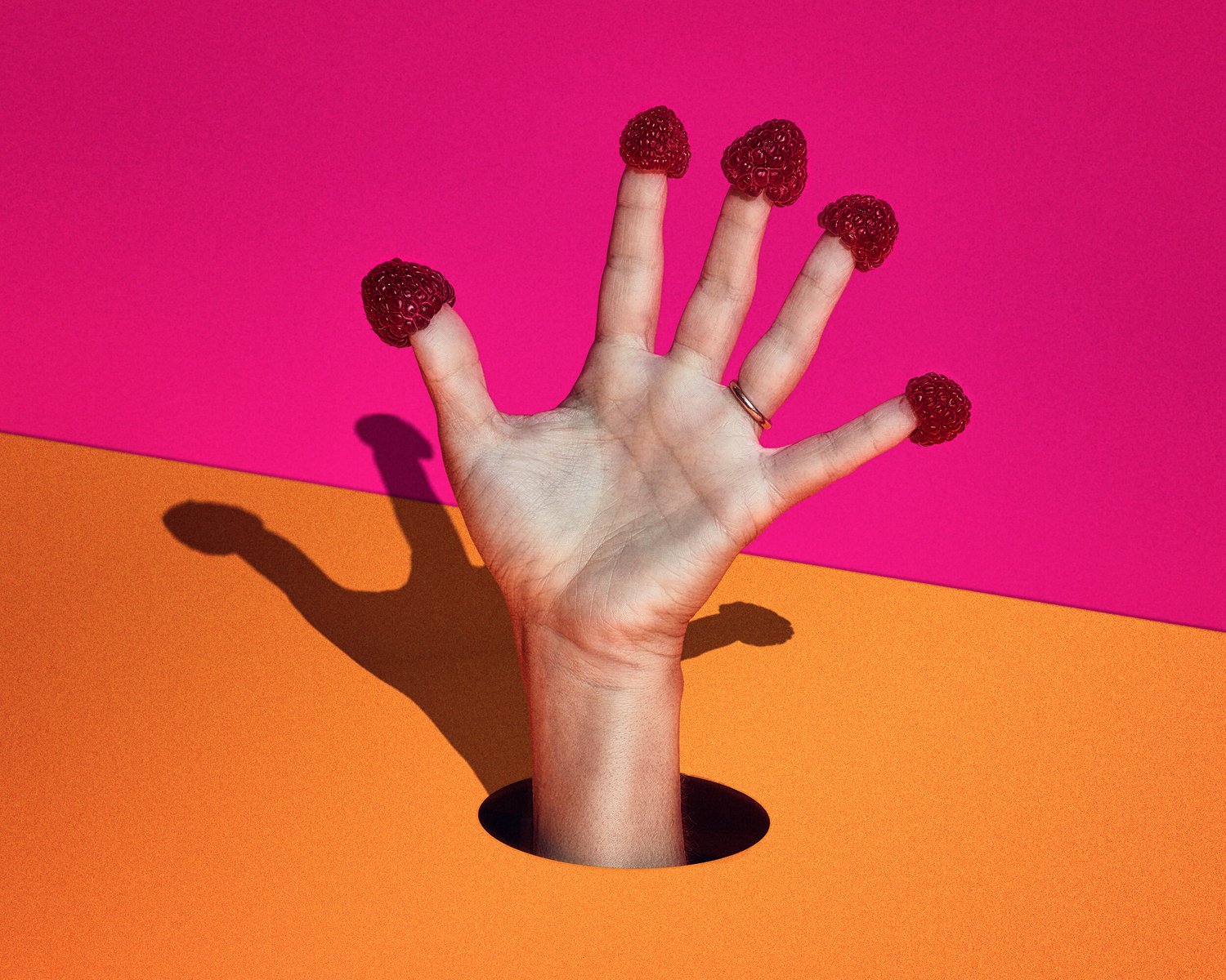 Covid-19 The Self-isolation Projects 5