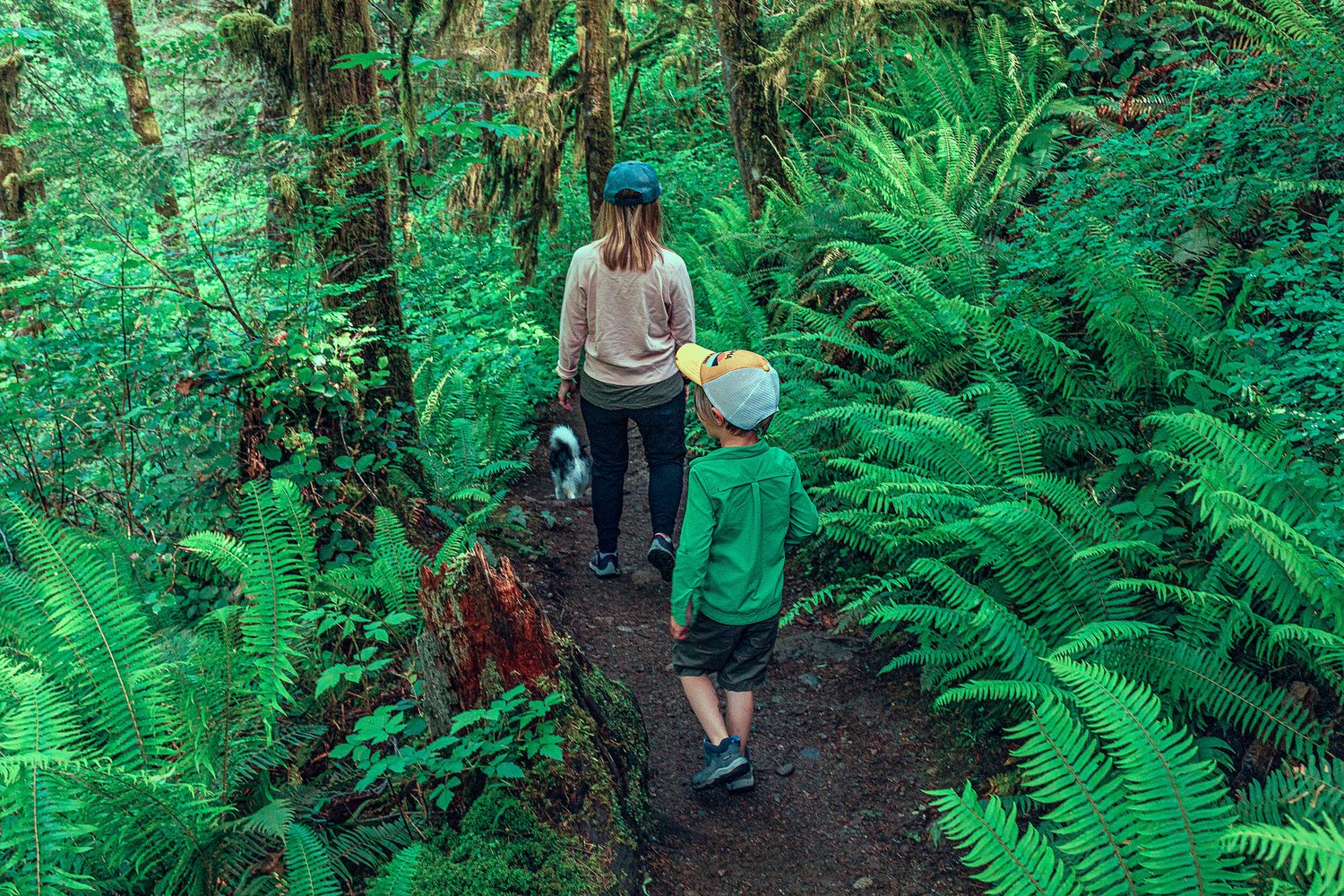 Summer Twenty Twenty 2