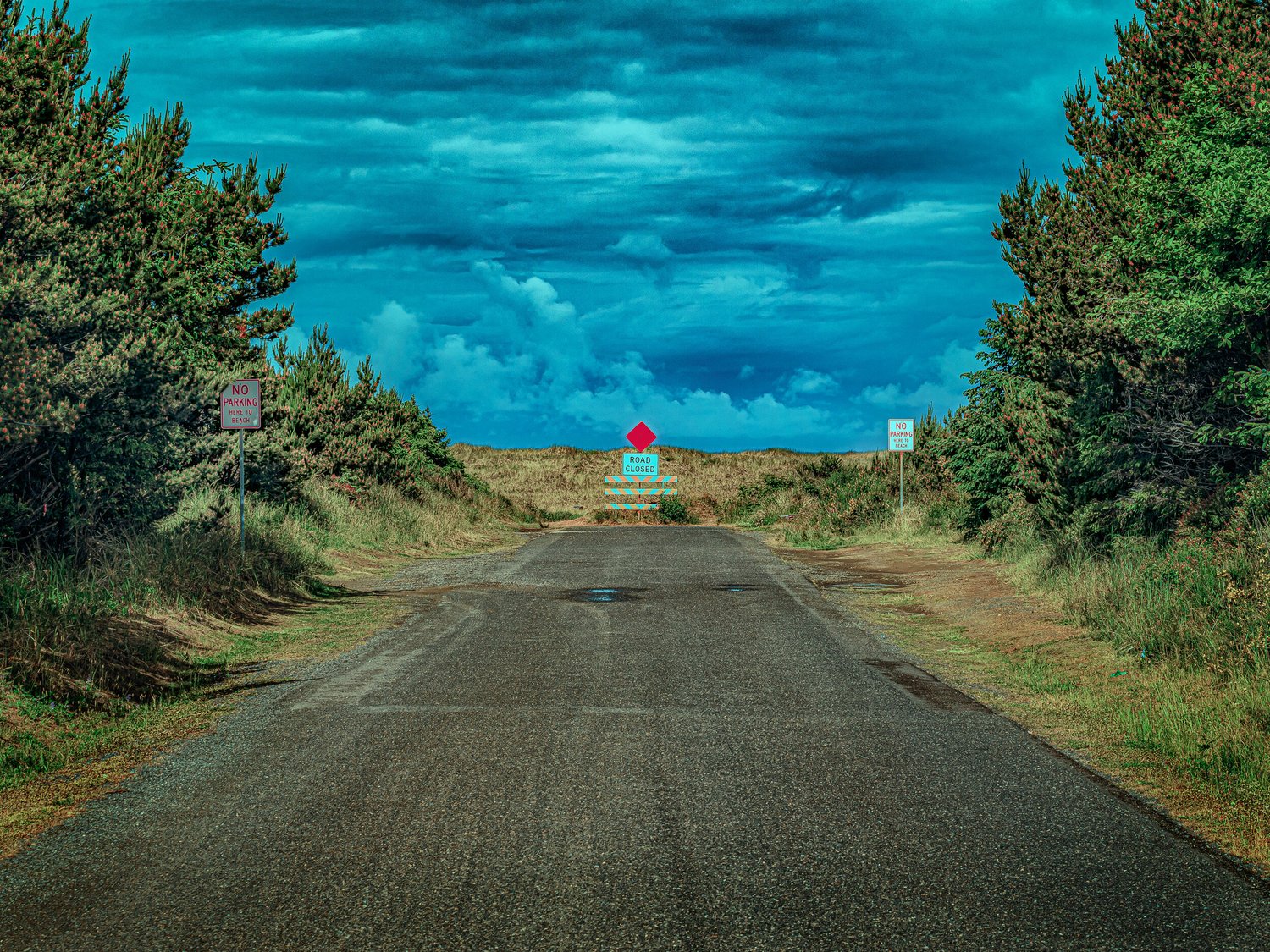 Summer Twenty Twenty 3