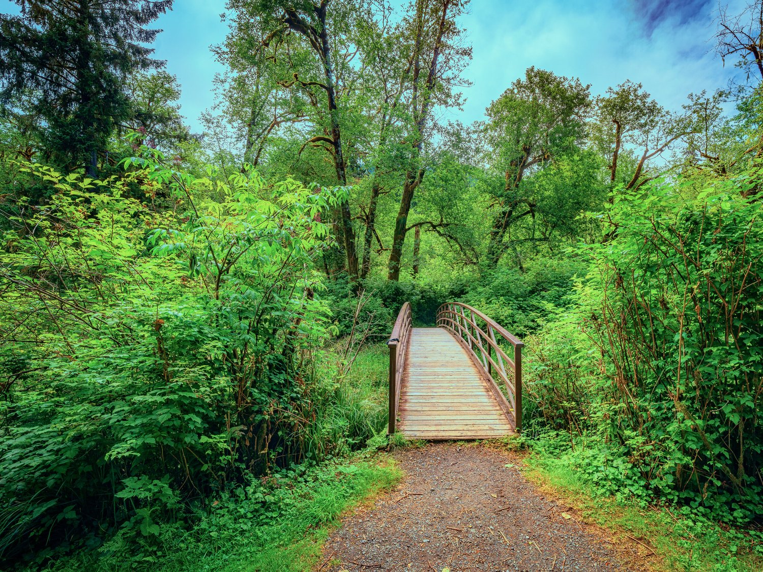 Summer Twenty Twenty 4