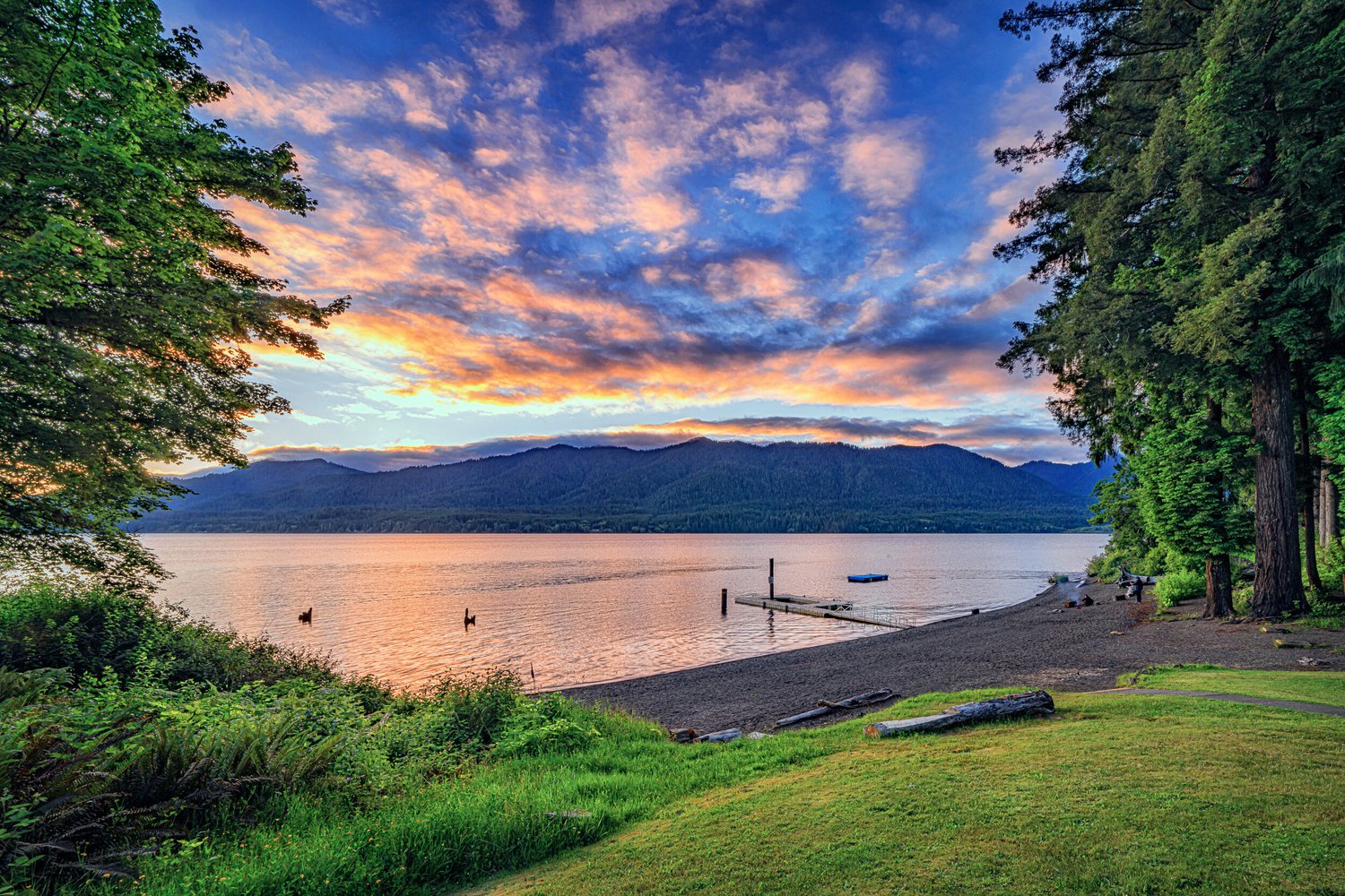 Summer Twenty Twenty 5