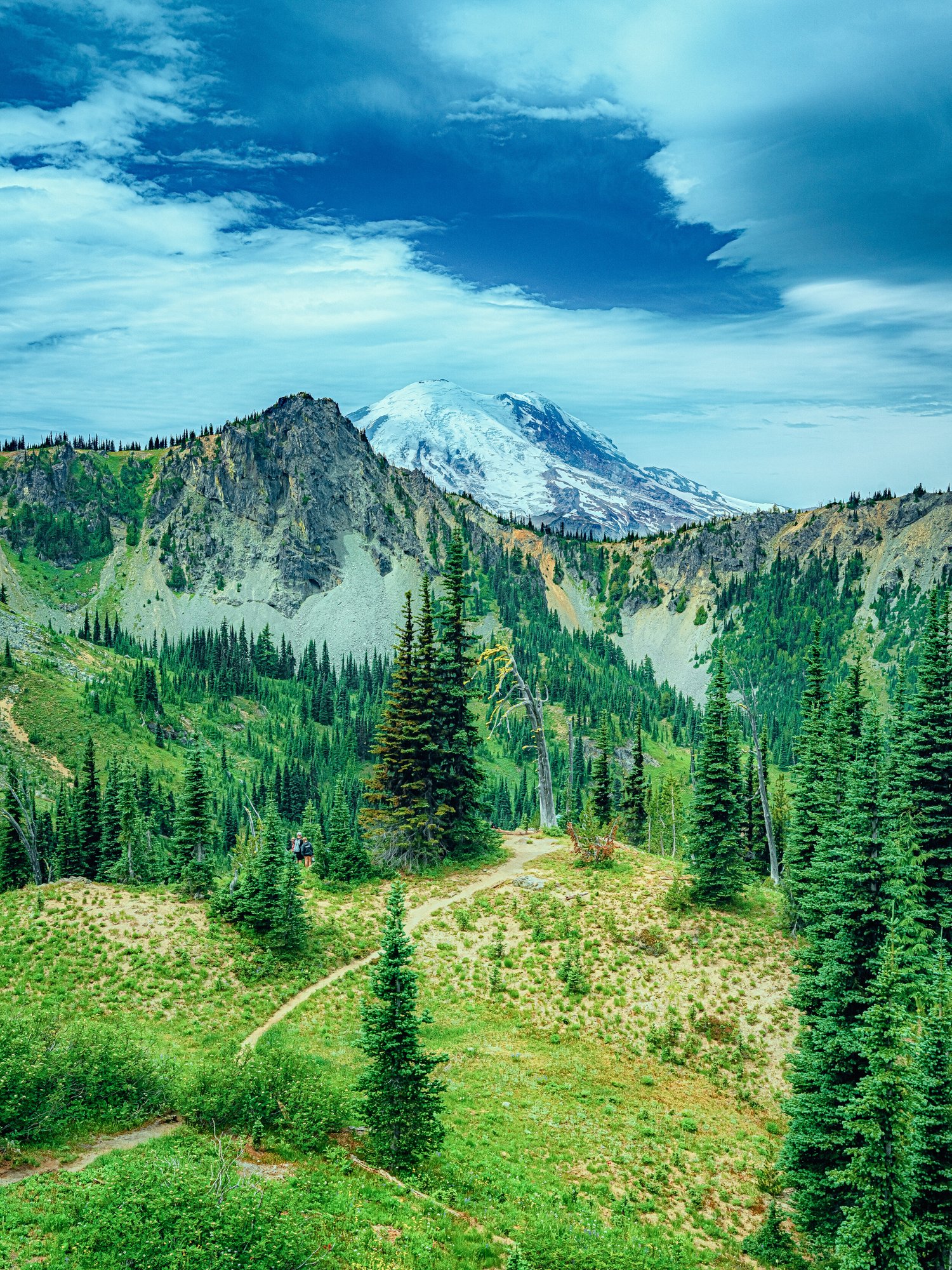 Summer Twenty Twenty 9