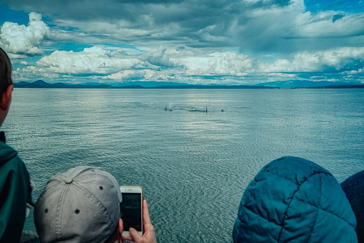 A day on the Saratoga 10