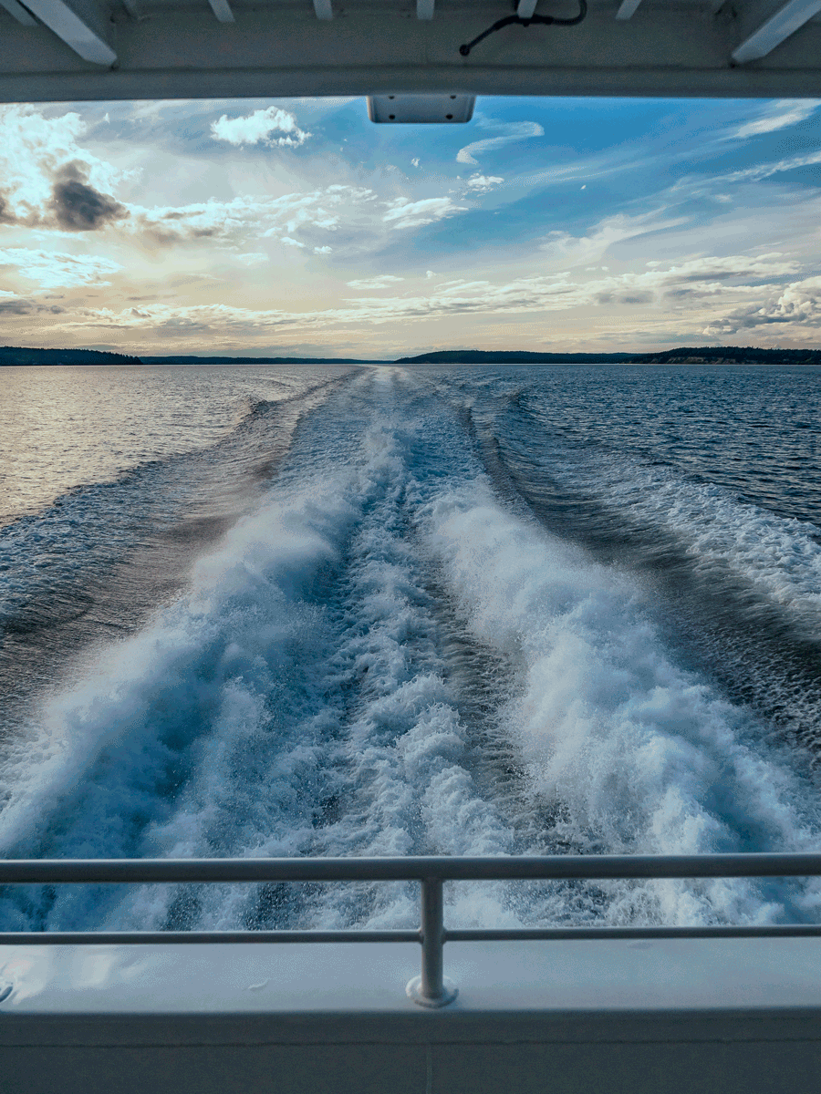 A day on the Saratoga 2