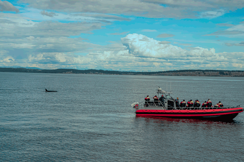 A day on the Saratoga 12