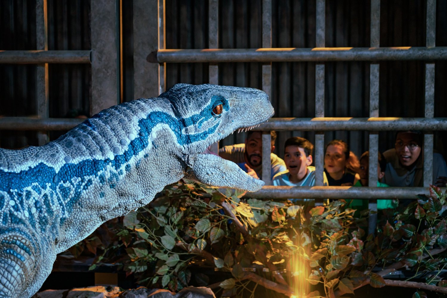 Everything's bigger in Texas 8