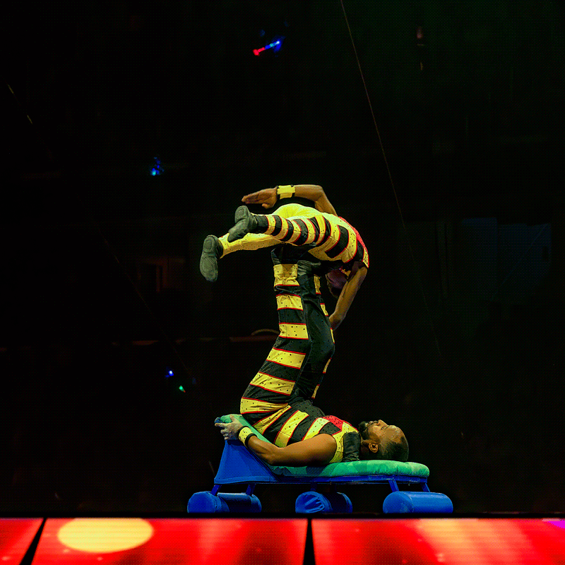 The Greatest Gifs on Earth 5