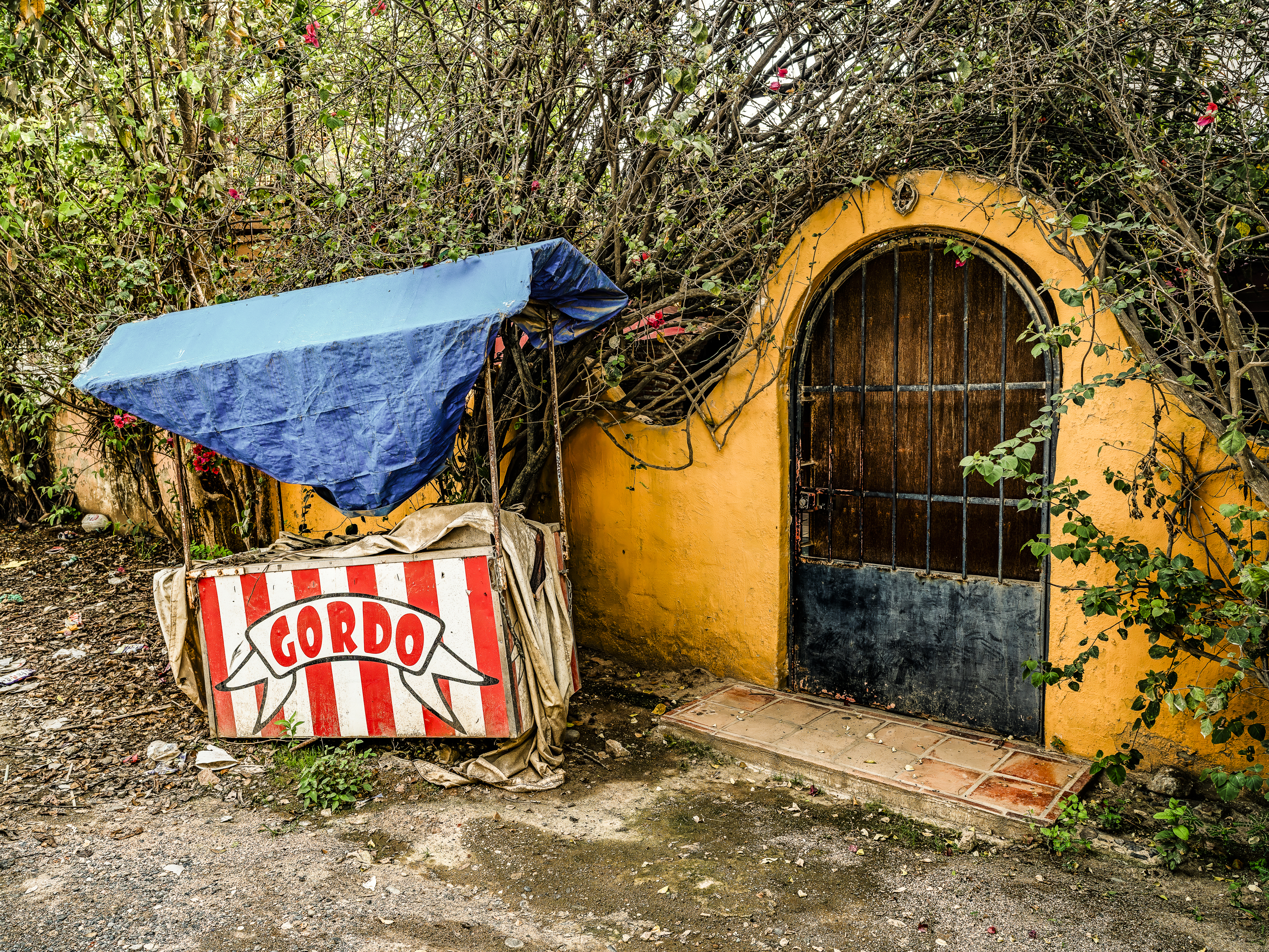 Que Ondo, Mexico 13