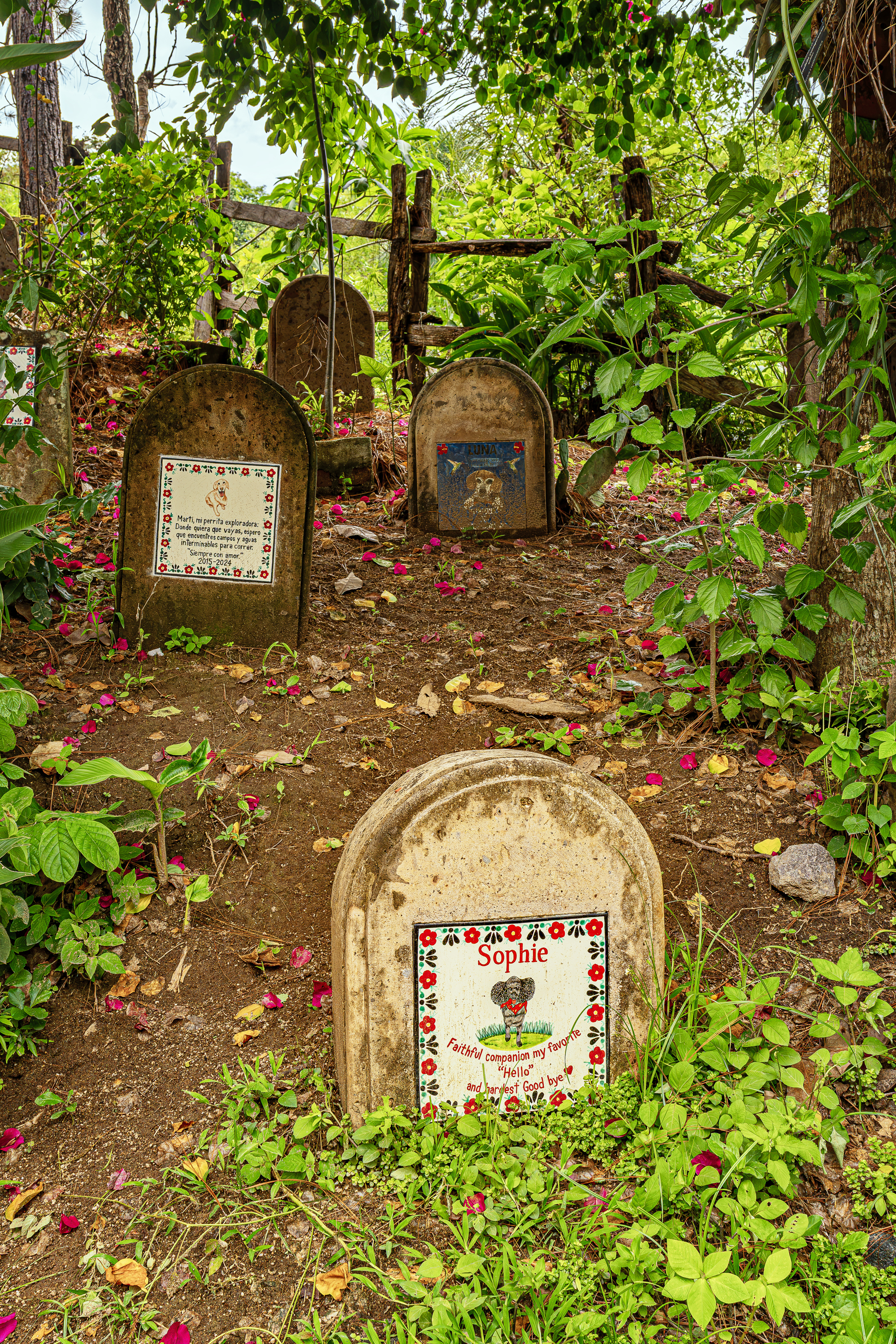 Que Ondo, Mexico 19